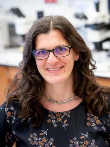 Sarah Calve, PhD