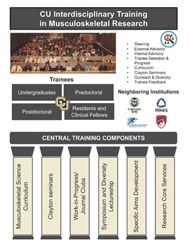 CU Interdisciplinary Training in Musculoskeletal Research CU Interdisciplinary Training in Musculoskeletal Research