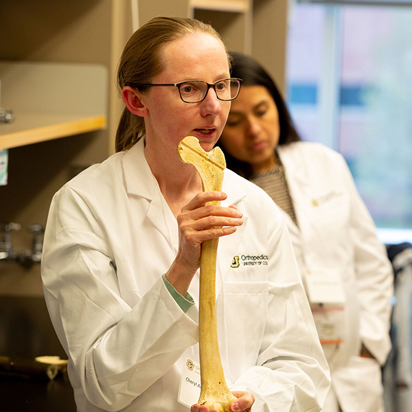 Cheryl Ackert-Bicknell, PhD