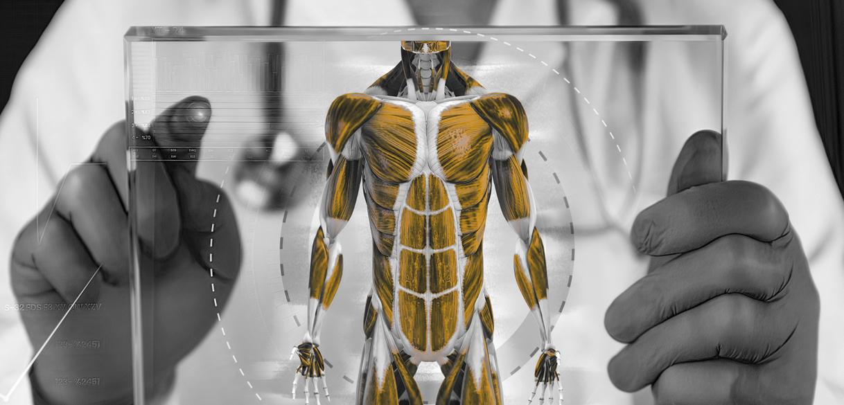 CU Researchers Awarded Grant for Musculoskeletal Research Training Program
