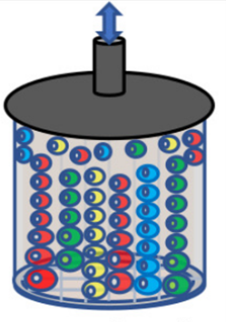 Growth Plate Development