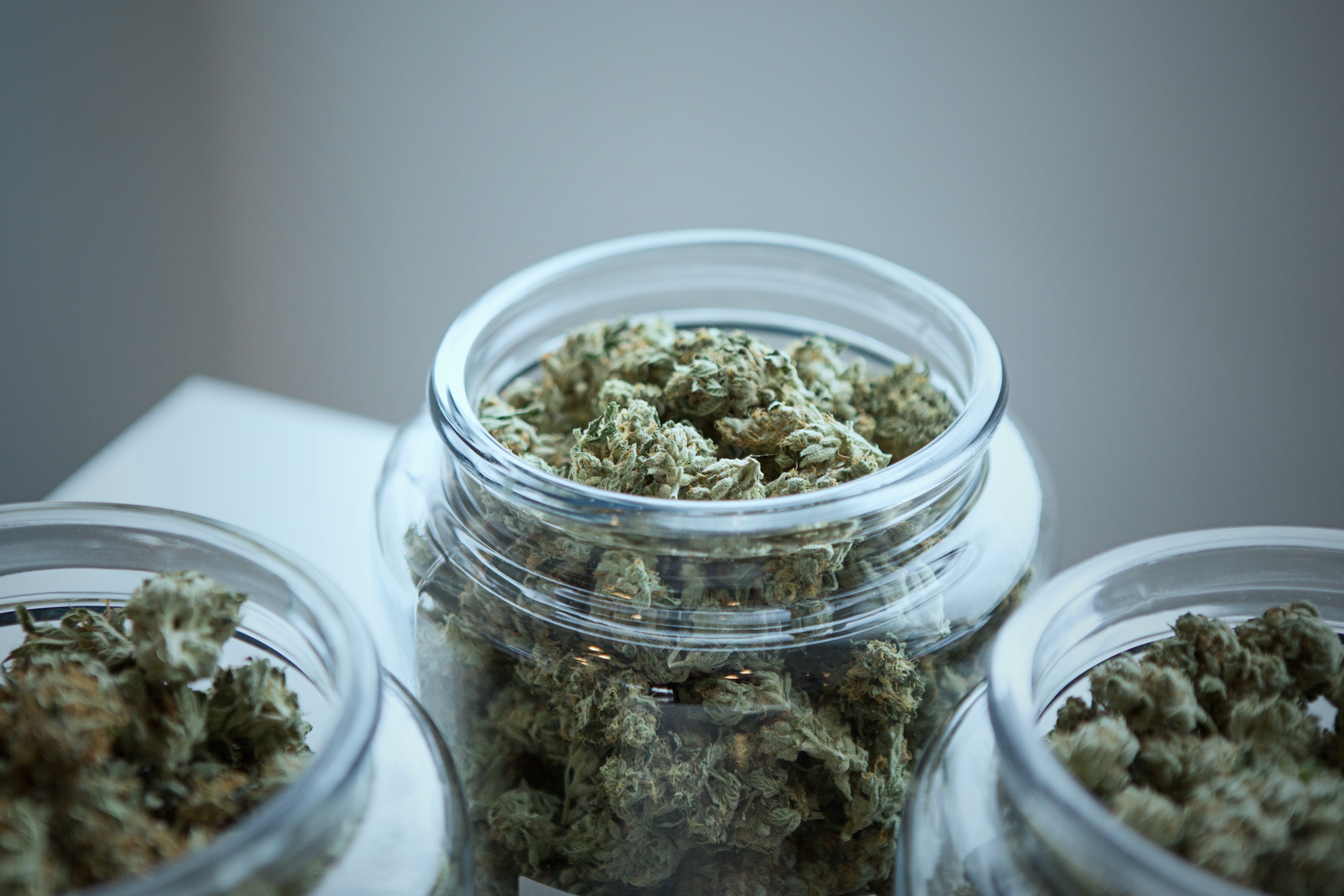 Clinical Trial of Cannabis versus Oxycodone for Chronic Spine Pain