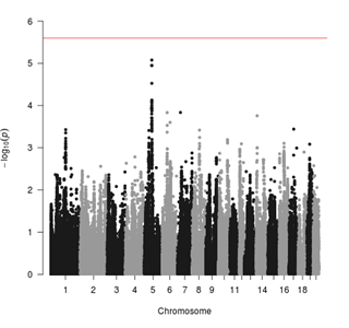 Ackert-Bicknell-Lab-Chromosome Ackert-Bicknell-Lab-Chromosome