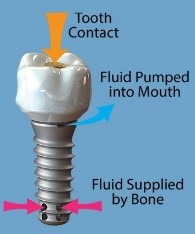 Potential Relief for Dry Mouth Syndromes