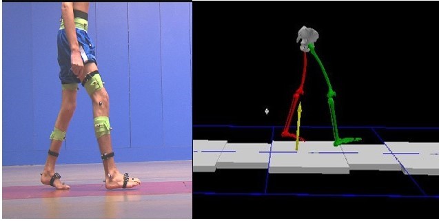 Gait Analysis
