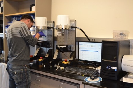 Microcomputed Tomography, University of Colorado