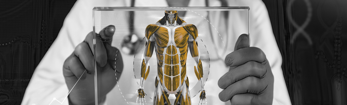 Musculoskeletal Research - 8-3-22