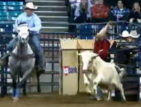 Cowboy doctor helps stock show riders