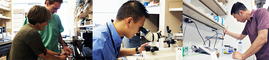 Researchers in collage