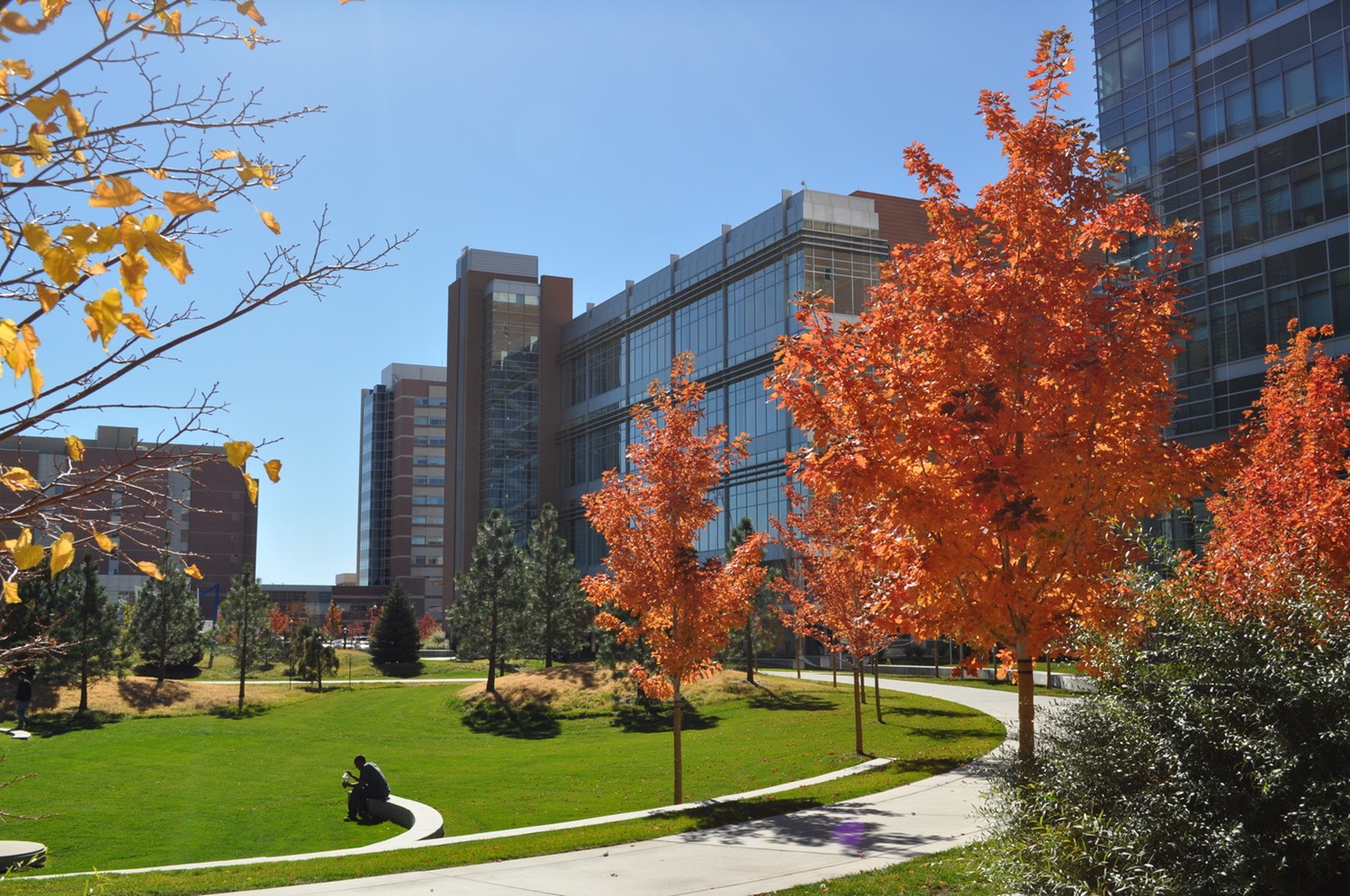 Campus