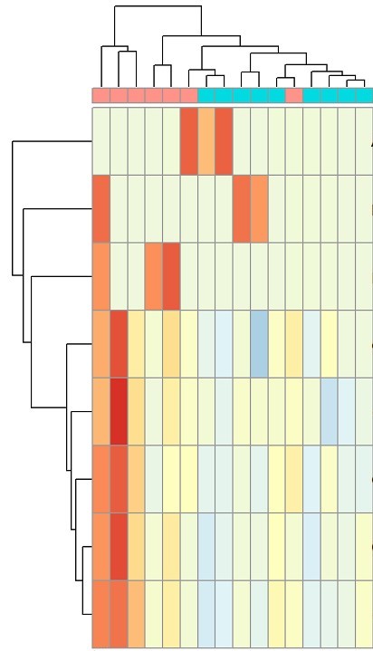 heatmap