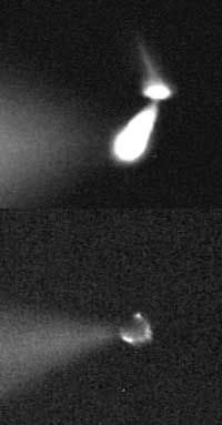 Katie Rennie Research Picture 1