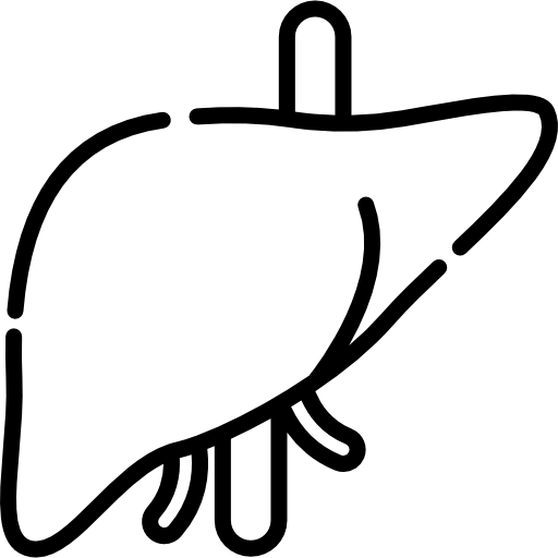liver icon from freepik.com