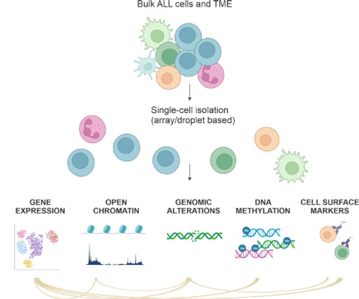 single-cell analysis single-cell analysis