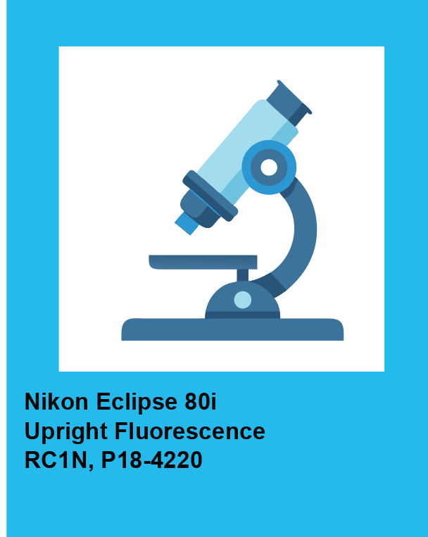 Eclipse scope