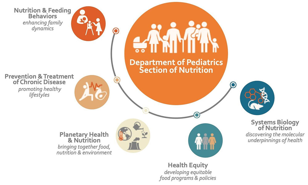 NutritionRschFramework Nutrition Research Framework