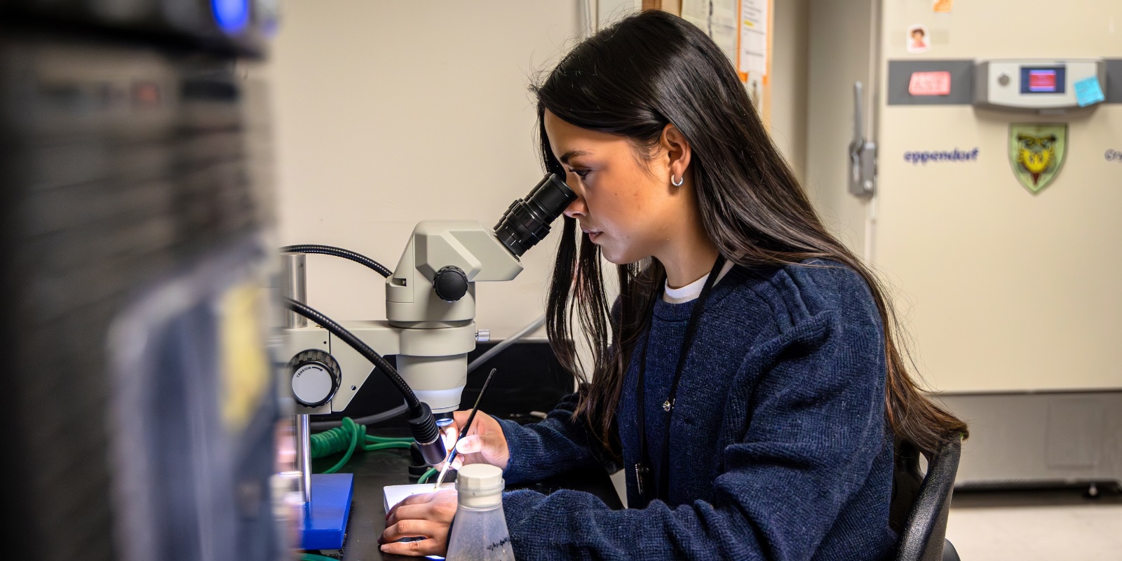 Scientist at a microscope