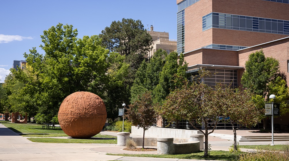 Photo from campus.