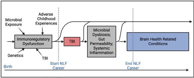 Microbiome-Gut-Brain Axis Biomarkers for Prevention of Persistent Symptoms-Traumatic Brain Injury (MAPPS-TBI) Graphic