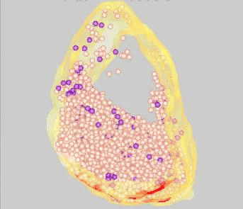 Betz figure 3