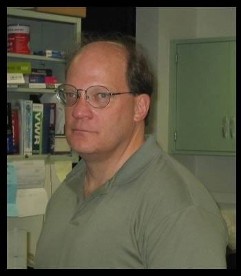 Steve Fadul