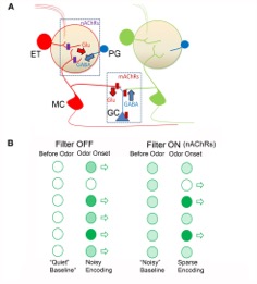 Vijayaraghavan Lab -- Figure 2