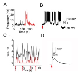 Vijayaraghavan Lab -- Figure 3