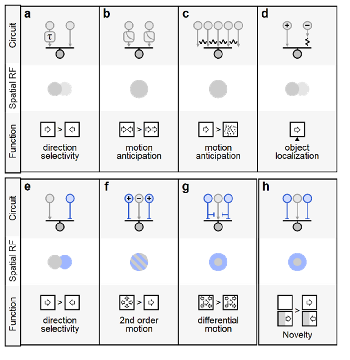 Known motion processing circuits in the vertebrate retina Known motion processing circuits in the vertebrate retina