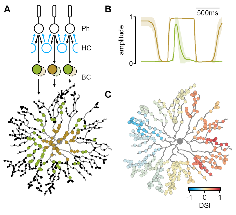 simulated-spatiotemporal-integration simulated-spatiotemporal-integration