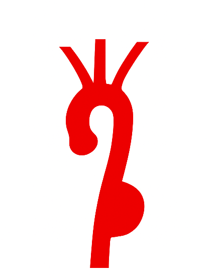 Anomalous Anatomy