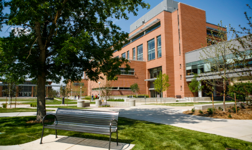 CU Benefits & Wellness Card
