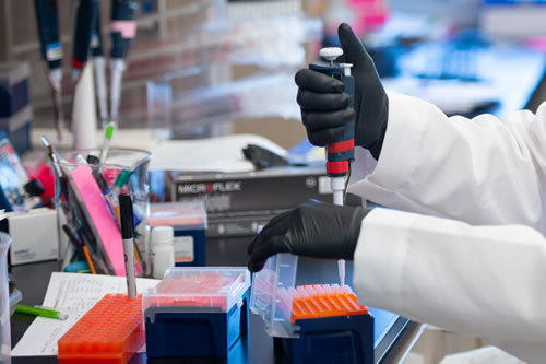 Research (500 x 333)