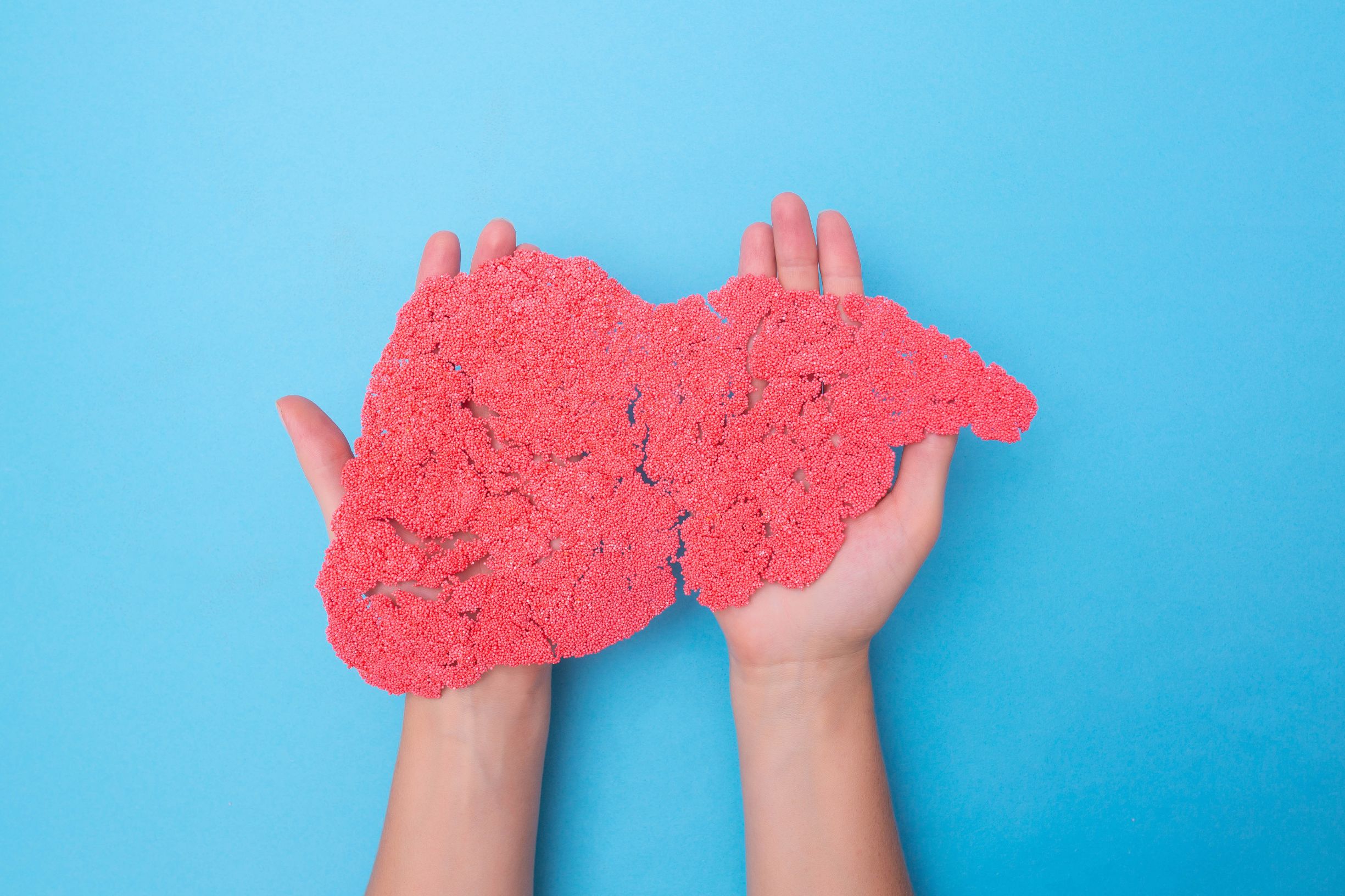 Liver