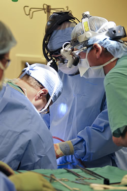 Surgeons in the operating room
