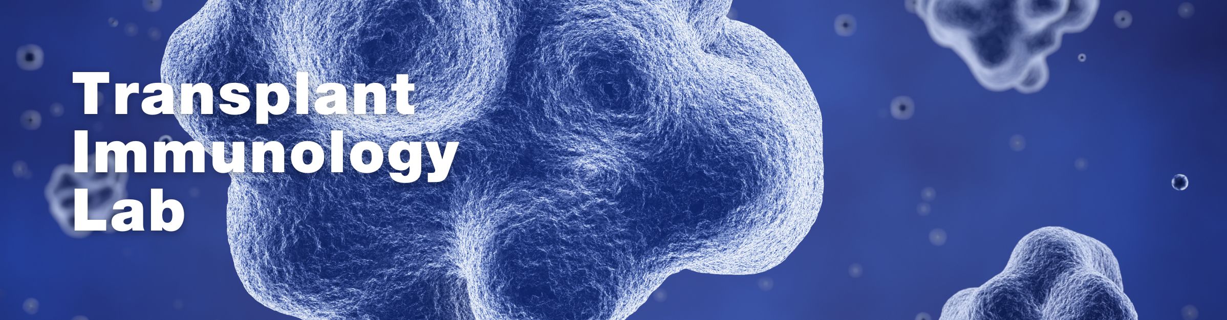 Transplant Immunology Lab