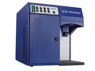 BD Celesta
