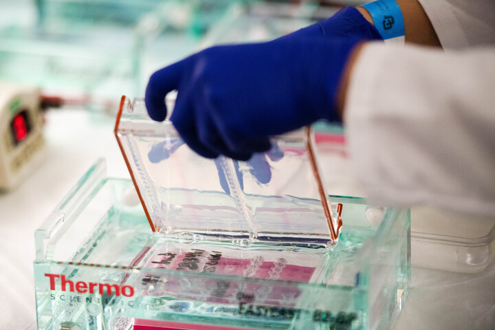 Crnic-Lab-Stills-37-720x480-dfc30086-f383-4725-8583-51ca8a76fa5f