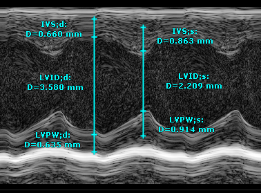 Imaging - 1 Imaging - 1