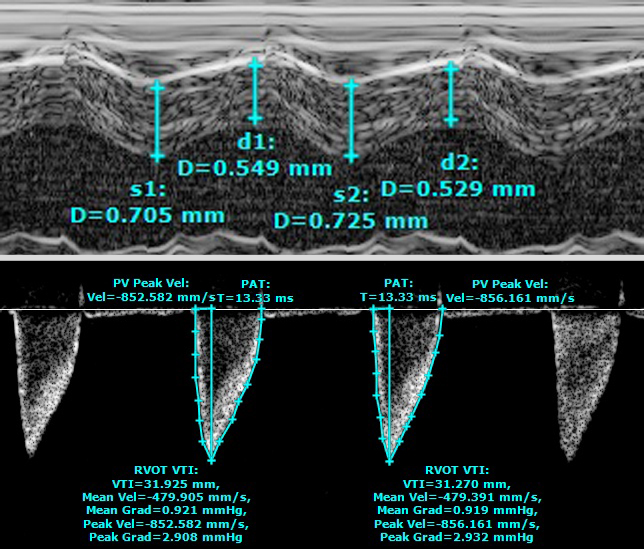 Imaging - 3 Imaging - 3