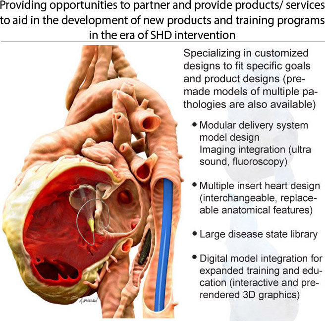 Structural_Heart - 1