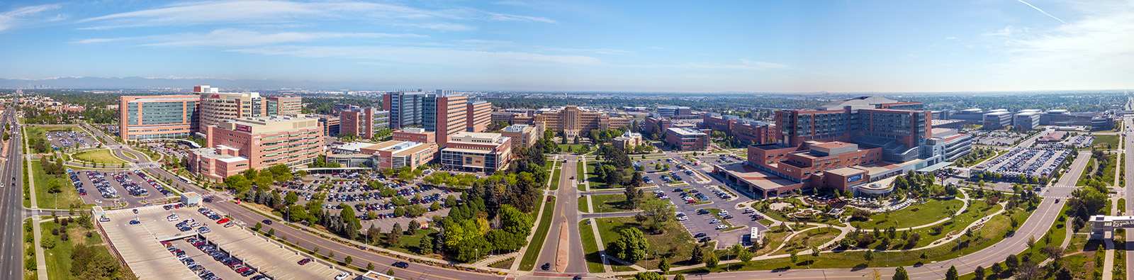Wide campus shot including UCH at west and VA and east