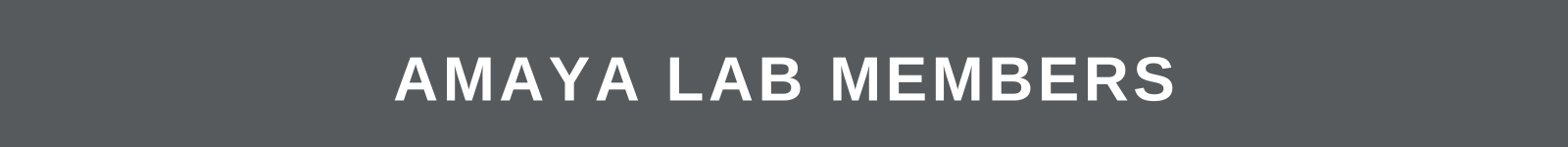 Amaya Lab Members Banner