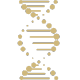 DNA icon