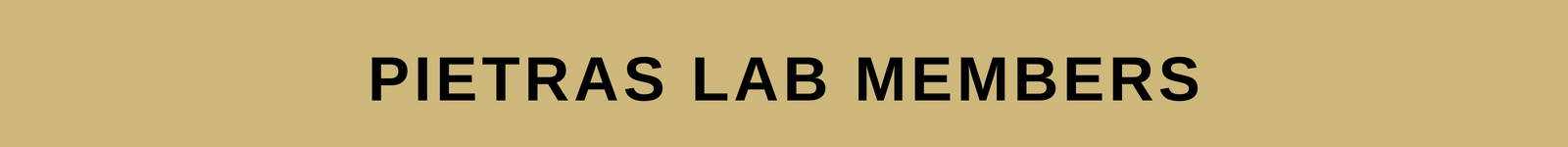Pietras Lab Members 1600 150