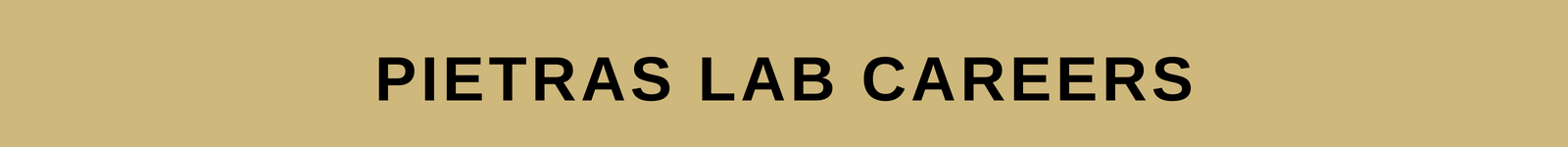 Pietras Lab Alumni 1600 150