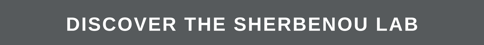 Discover the Sherbenou Lab