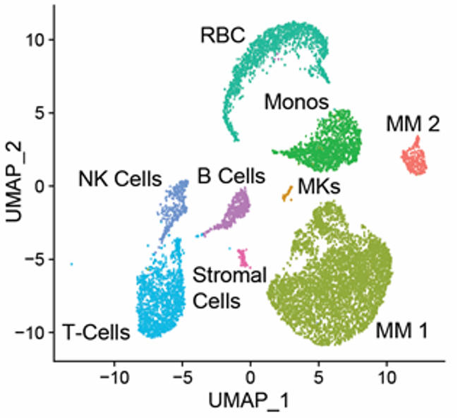RNA Sequencing