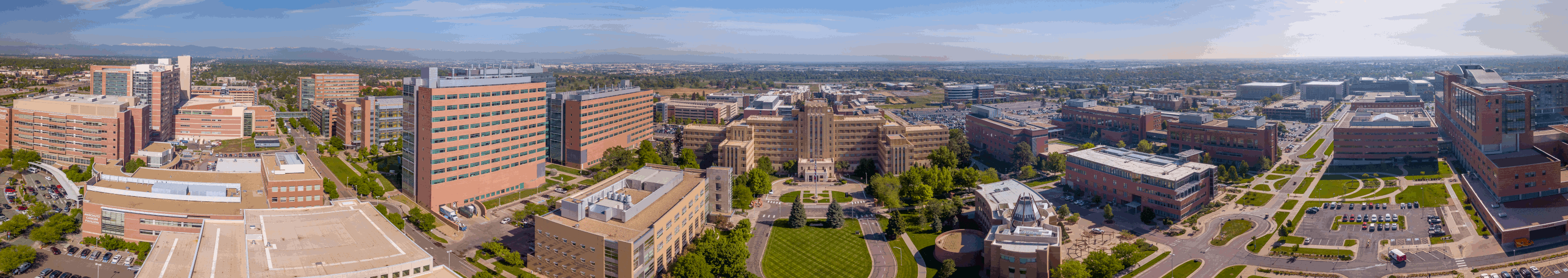 Infectious Diseases Clinical Trials Unit
