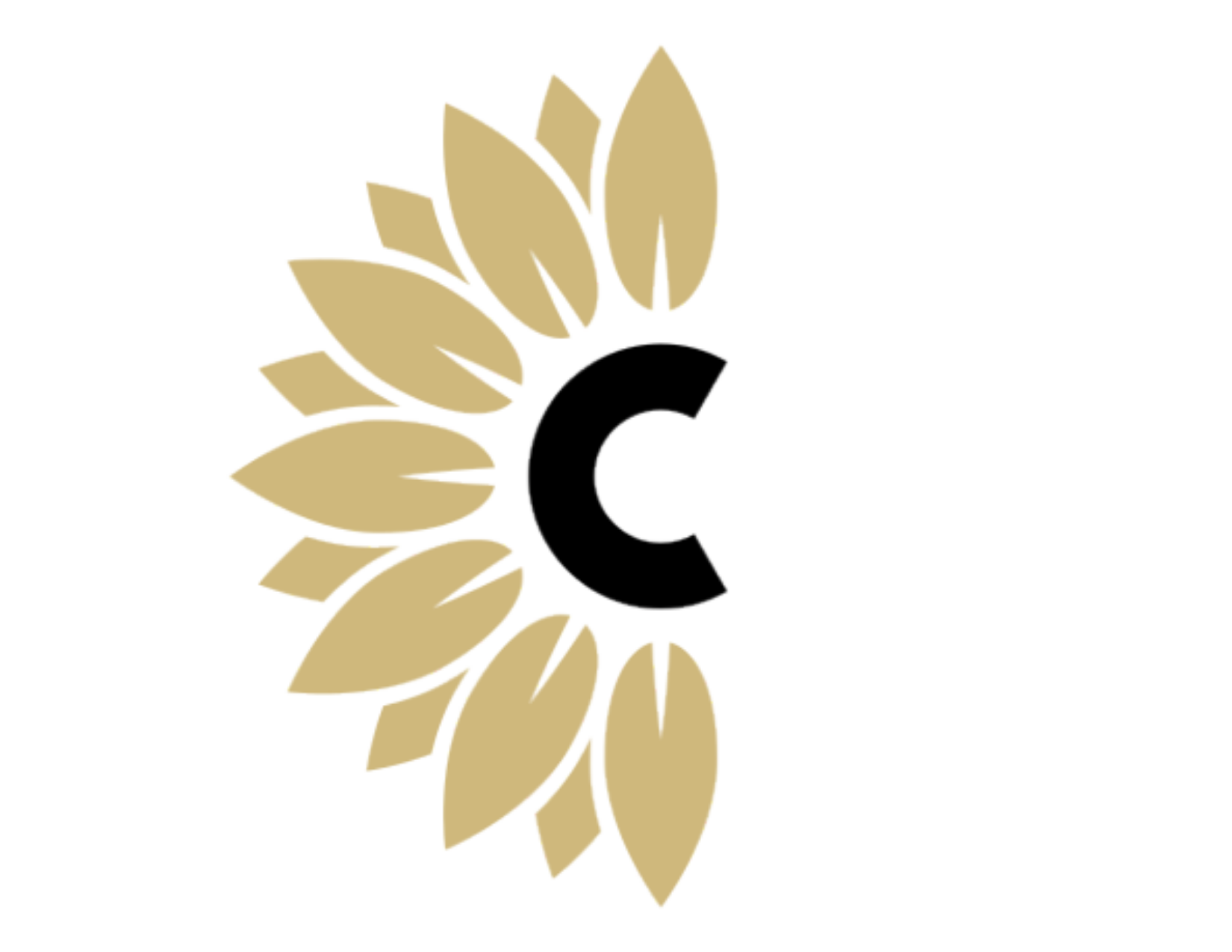 COPHI logo