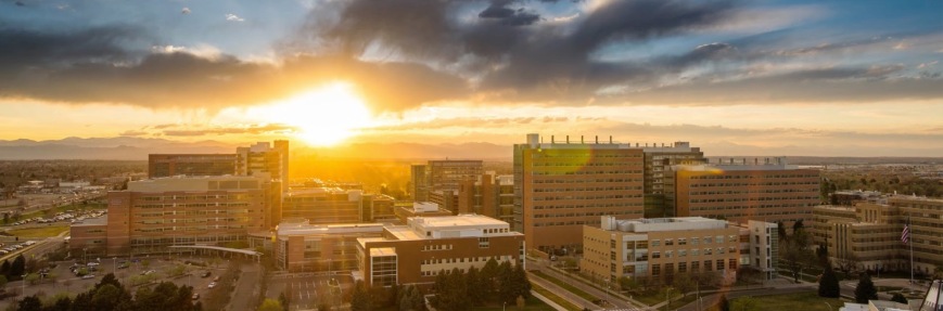 campus-sunset